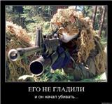 Аватара пользователя