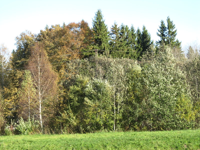 Picture 007.jpg
