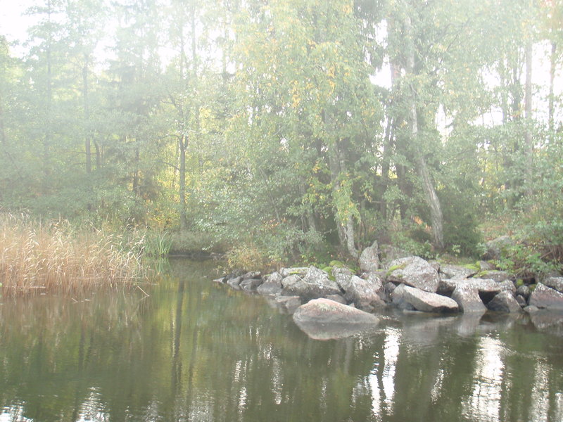 P1016037.JPG