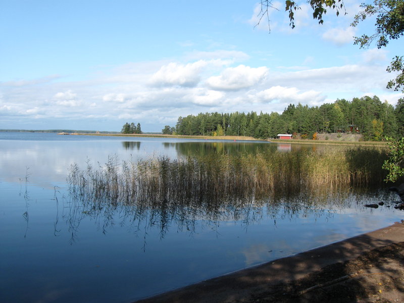 Финрыб2011 016.jpg