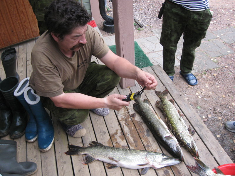 Финрыб2011 034.jpg