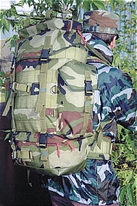 26544205.jpg