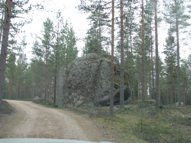 IMG_1364.jpg