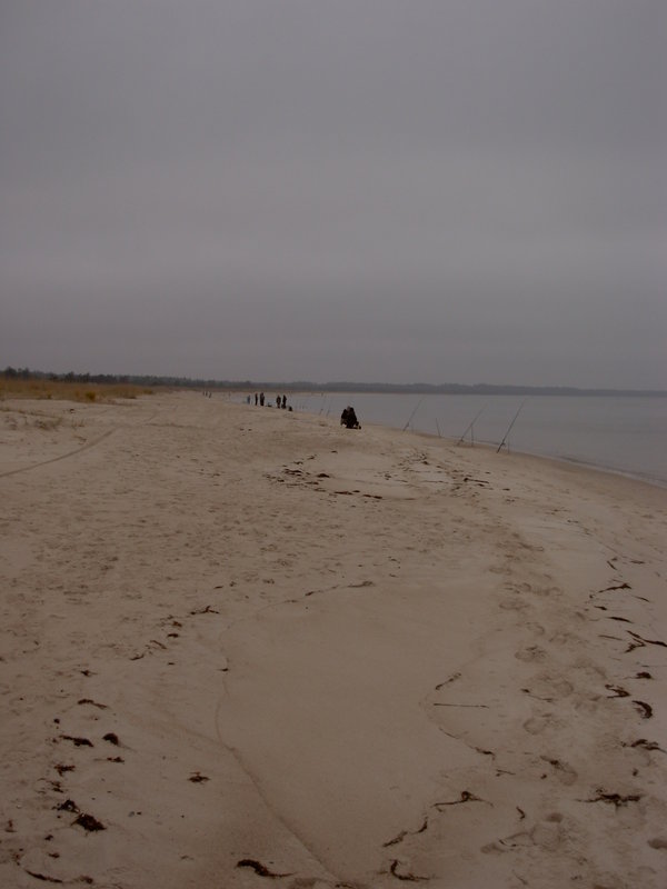 DSCN0041.JPG