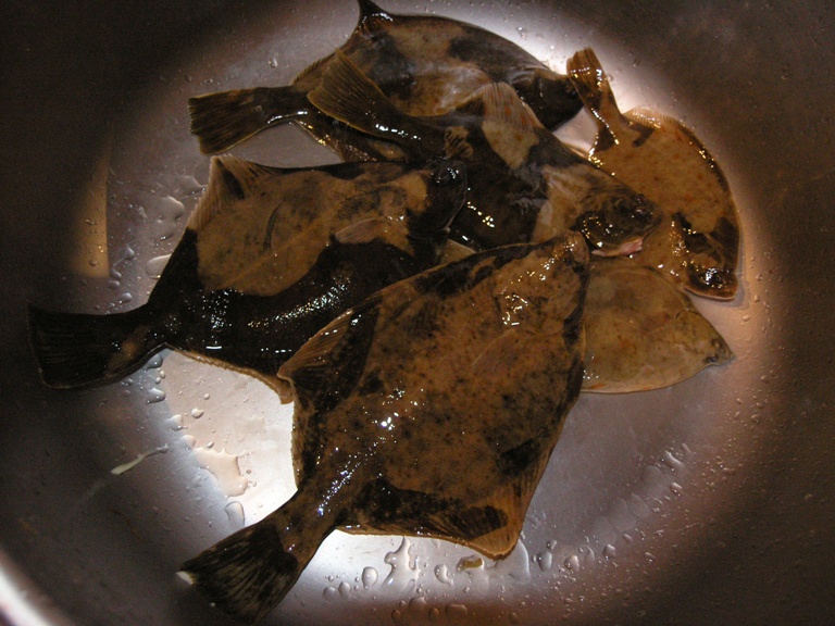 P1010056.JPG