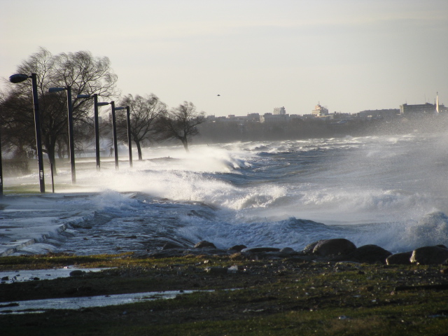 25.12.2011a 010.jpg