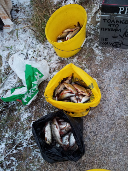 20111231_151051.jpg