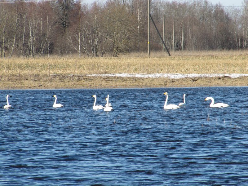 IMG_7710.JPG