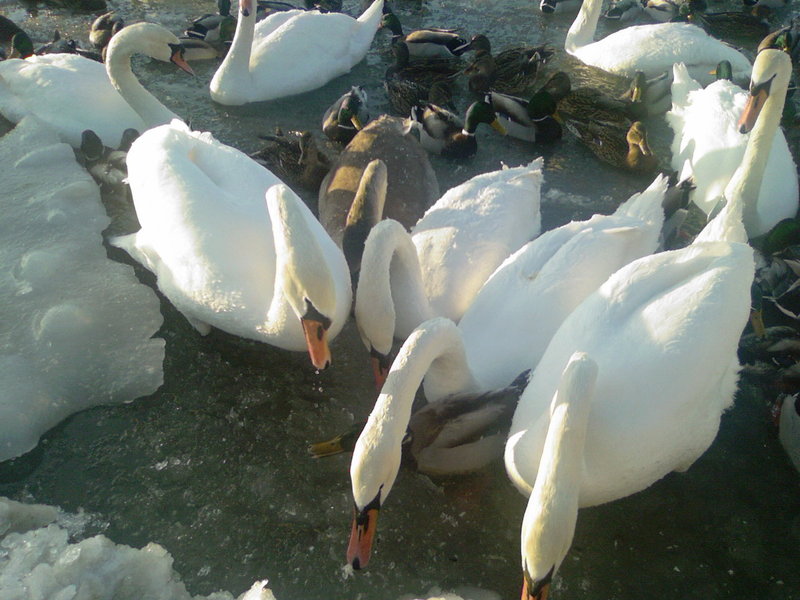 Photo-0014.jpg