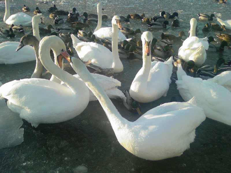 Photo-0015.jpg