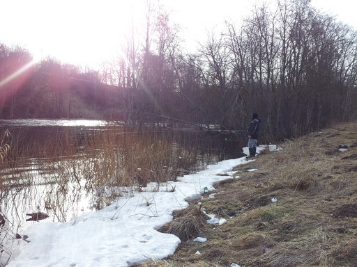 20120331_090602.jpg