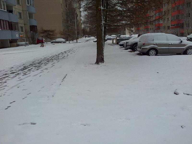 20120402_091650.jpg