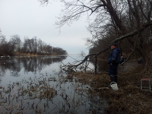 20120413_083647.jpg