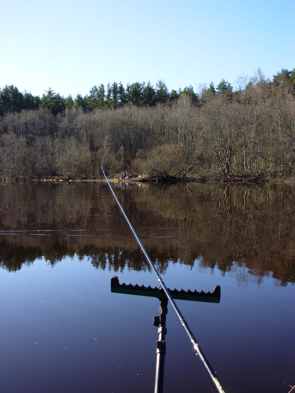 DSCN0041.JPG