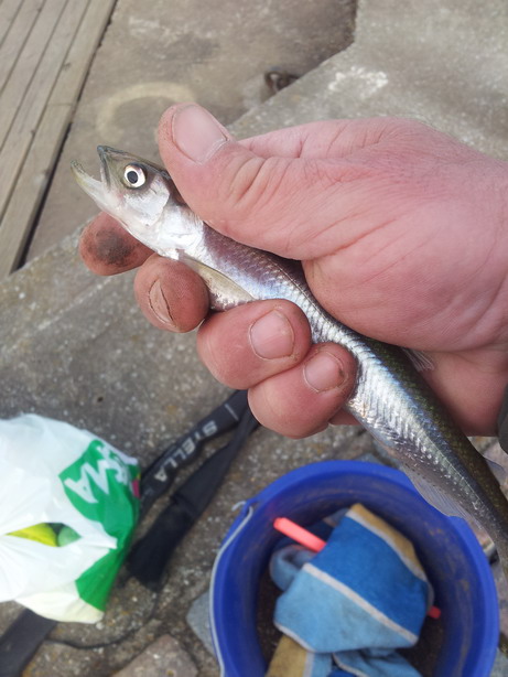20120419_173331.jpg