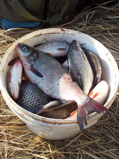 20120421_183633.jpg