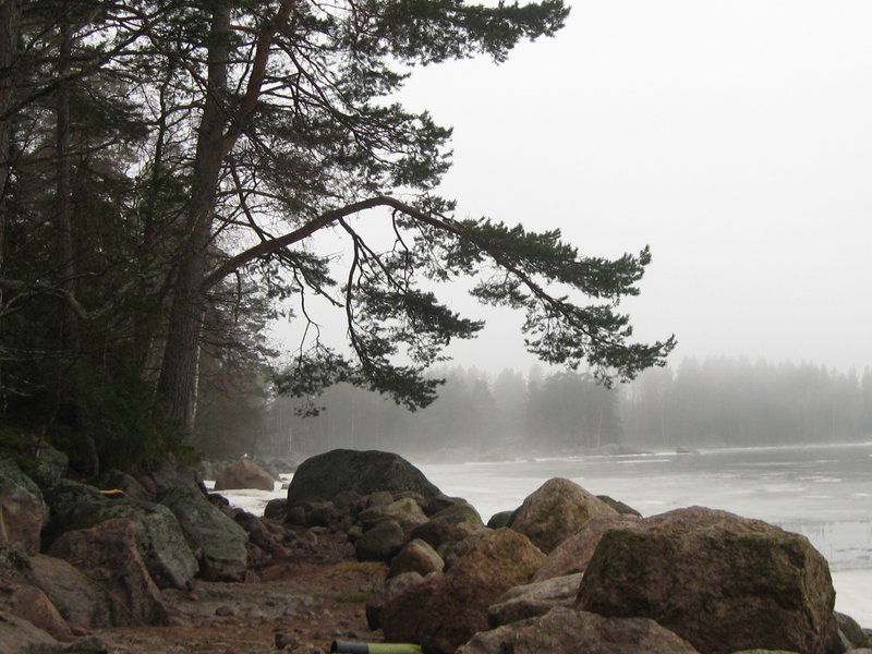 финрыб май 2012 020.jpg