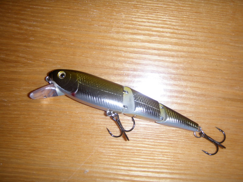 P5101020.JPG