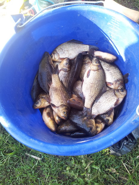 20120515_190844.jpg