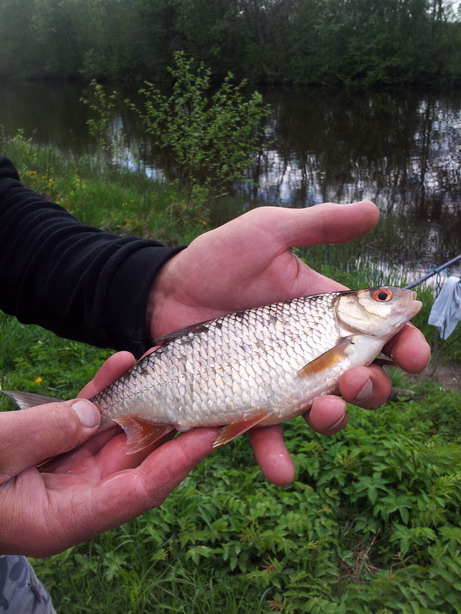 20120520_155111.jpg