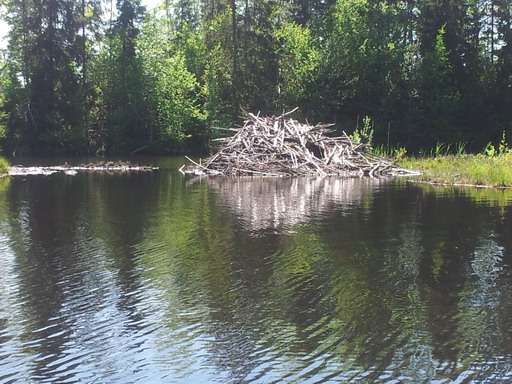 20120524_144753.jpg