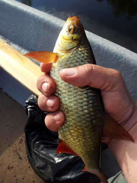 20120524_184524.jpg