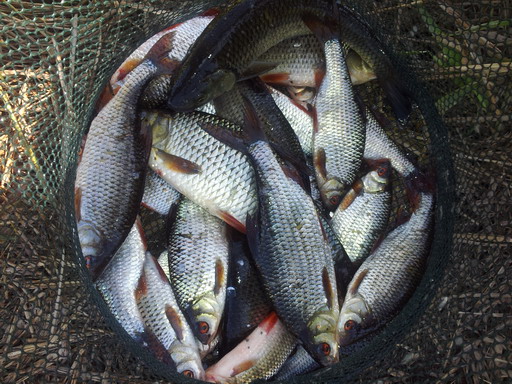 20120526_154749.jpg
