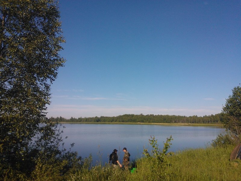 WP_000232.jpg