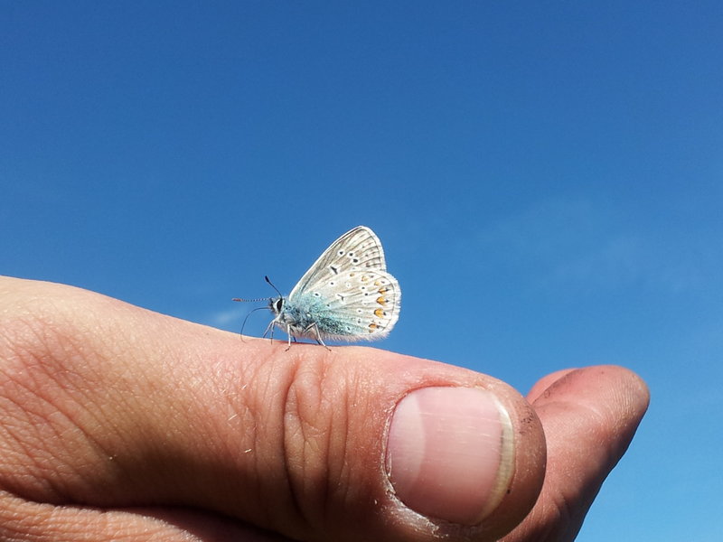 20120620_122854.jpg