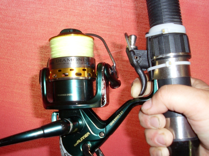 SL380061.JPG