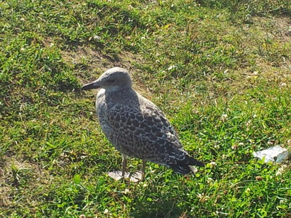 20120709_190309.jpg