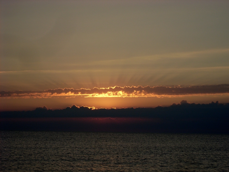 SL380062.JPG