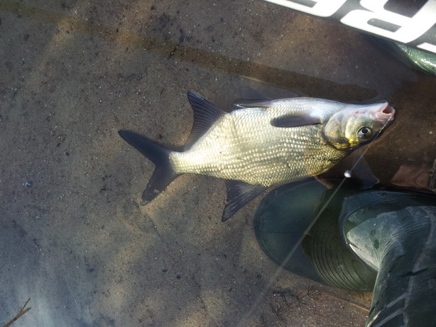 20120714_190445.jpg