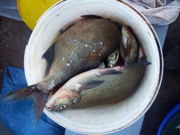 20120718_193919.jpg