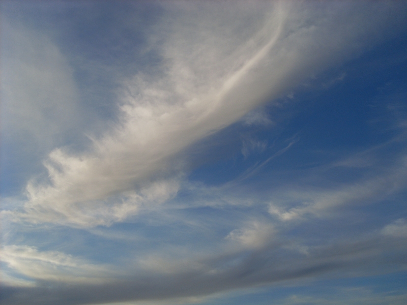 SL380079.JPG