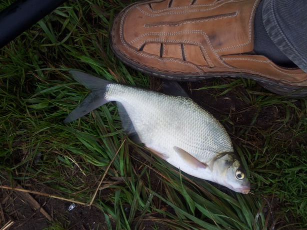 20120801_175602.jpg