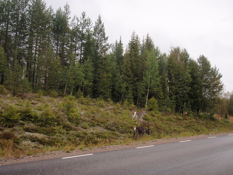 swveden 044.jpg