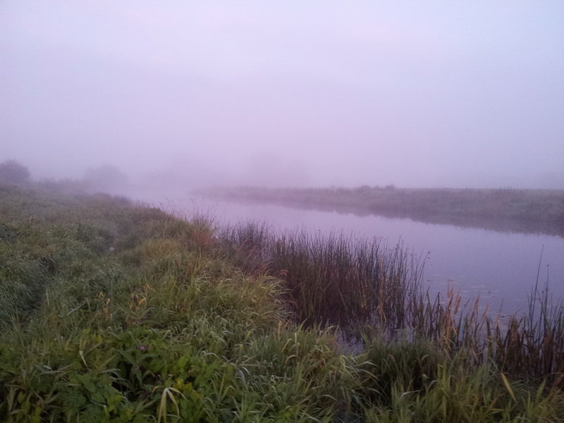 20120825_055148.jpg