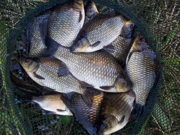 20120829_185659.jpg