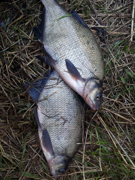 20120829_193635.jpg