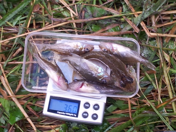 20120901_133539.jpg