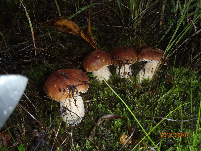 P9070019.JPG