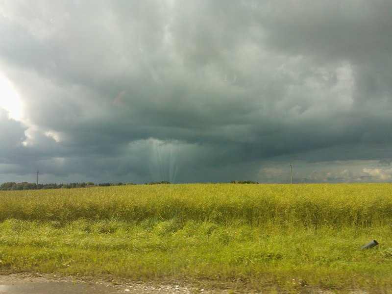 WP_000570.jpg