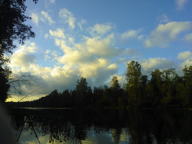 WP_000573.jpg