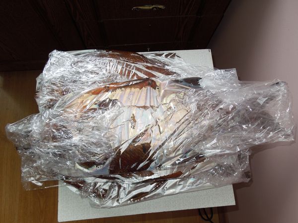 DSCN1050.jpg