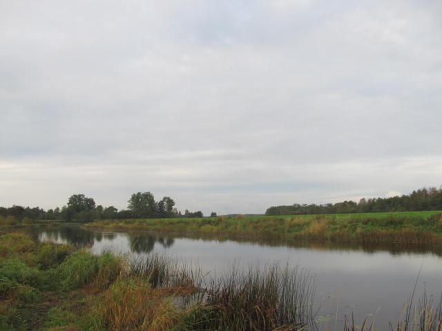 Picture 003.jpg