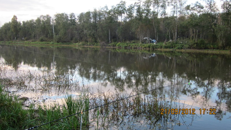 IMG_0005.JPG
