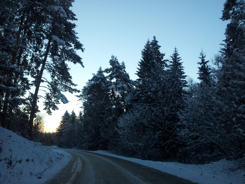 20121028_075232.jpg