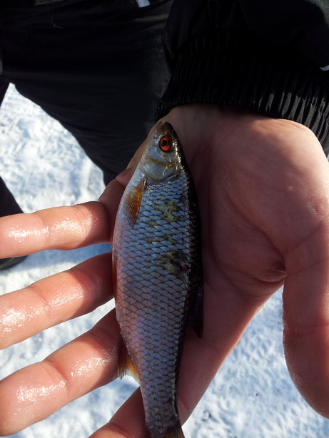 20121028_103426.jpg