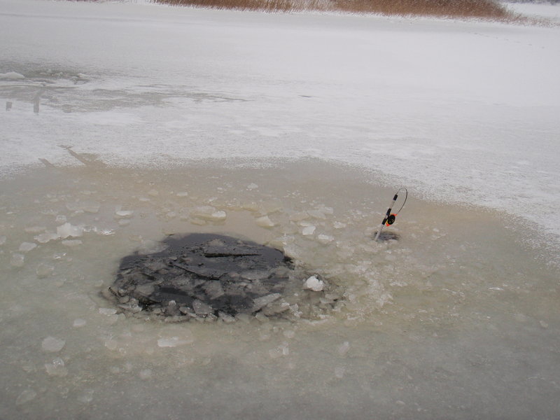 1 221.jpg (2.15 МБ) 2128 просмотров Очередное водное крещение ...